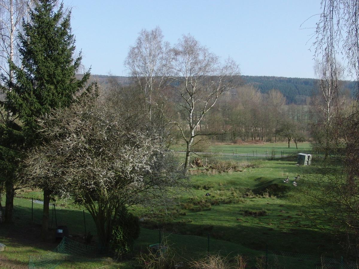 Guesthouse Herriot Springe Exterior foto